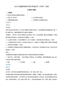 初中生物中考复习 精品解析：辽宁省沈阳市2020年中考生物试题（解析版）