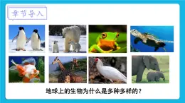 第7單元 生命的演化 第21章 生命的發(fā)生和發(fā)展  第2節(jié) 生物進(jìn)化 第1-2課時(shí) 課件2+教案+素材