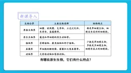 第7單元 生命的演化  第22章 物種的多樣性 第2節(jié) 原生生物的主要類(lèi)群 課件+教案+素材