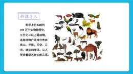 第7單元 生命的演化 第22章 物種的多樣性 第4節(jié) 動(dòng)物的主要類(lèi)群 第1-3課時(shí) 課件3+教案+素材