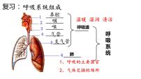 初中生物人教版 (新课标)七年级下册第二节 发生在肺内的气体交换试讲课ppt课件