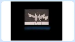 1.2.4 多種多樣的生態(tài)系統(tǒng) 課件+教案