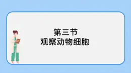 2.1.3  觀察動物細胞 課件+教案