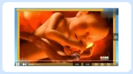 2.2.1  細胞的生活 課件+教案