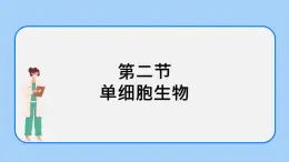 2.2.2 單細胞生物 課件+教案