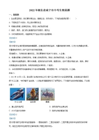 初中生物中考复习 精品解析：2022年湖北省咸宁市中考生物真题（解析版）