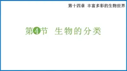 14.4 生物的分类 （课件）苏教版生物八年级上册
