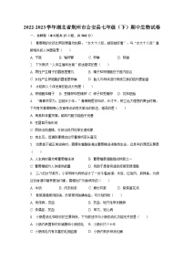 2022-2023学年湖北省荆州市公安县七年级（下）期中生物试卷（含解析）
