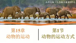 15.1《动物运动的方式》课件