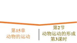15.2.3《动物运动的形成》课件