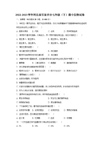 2022-2023学年河北省石家庄市七年级（下）期中生物试卷（含解析）