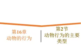 16.2《动物行为的主要类型》课件