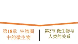 18.2《微生物与人类的关系》课件