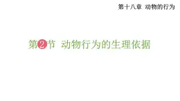 18.2 动物行为的生理依据 （课件）苏教版生物八年级上册