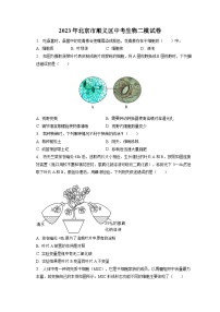 2023年北京市順義區(qū)中考生物二模試卷（含答案解析）