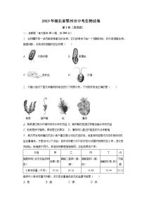 2023年湖北省鄂州市中考生物试卷（含解析）