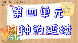 濟(jì)南版生物八上 3.1  嬰兒的誕生（課件PPT)
