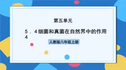 人教版八年級上冊5.4.4《細菌和真菌在自然界中的作用》課件+教案+導學案+分層作業(yè)