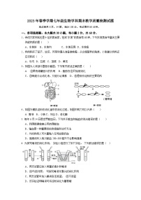 广东省惠州市博罗县2022-2023学年七年级下学期期末考试生物试题（含答案）
