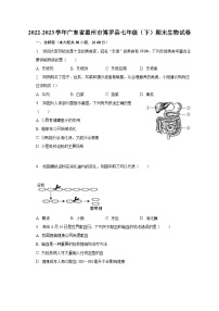 2022-2023学年广东省惠州市博罗县七年级（下）期末生物试卷（含解析）