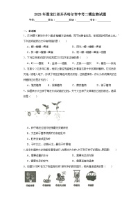 2023年黑龍江省齊齊哈爾市中考二模生物試題（含解析）