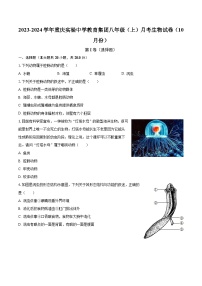2023-2024学年重庆实验中学教育集团八年级（上）月考生物试卷（10月份）（含解析）