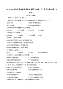 2023-2024学年重庆实验中学教育集团七年级（上）月考生物试卷（10月份）（含解析）