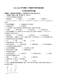 广东省揭阳市揭东区2023-2024学年七年级上学期期中生物试题