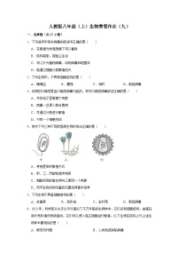 【寒假作业】2023-2024学年人教版 初中生物 八年級 寒假培优训练（九）（含解析）