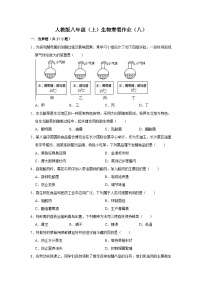 【寒假作业】2023-2024学年人教版 初中生物 八年級 寒假培优训练（八）（含解析）
