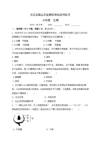 四川省泸州市合江县第五片区2021-2022学年七年级上学期联合考试生物试题（月考）