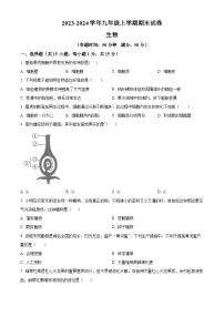 甘肃省天祝藏族自治县2023-2024学年九年级上学期期末生物试题（原卷版+解析版）