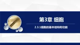 2.3.1細(xì)胞的基本結(jié)構(gòu)和功能（第2課時(shí)）課件-2023-2024學(xué)年北師大版生物七年級(jí)上冊(cè)