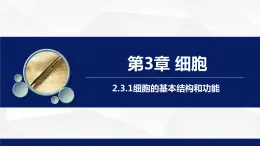 2.3.1++細(xì)胞的基本結(jié)構(gòu)和功能（第1課時(shí)）課件-2023-2024學(xué)年北師大版生物七年級(jí)上冊(cè)