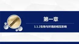 1.1.2++生物與環(huán)境的相互影響（第一課時(shí)）課件-2023-2024學(xué)年北師大版生物七年級(jí)上冊(cè)