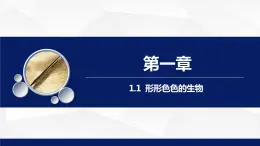 1.1.1++形形色色的生物（第二課時(shí)）課件-2023-2024學(xué)年北師大版生物七年級(jí)上冊(cè)