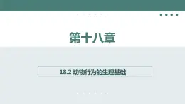 18.2动物行为的生理基础同步课件2023--2024学年苏教版生物八年级上册