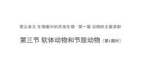 初中生物人教版 (新課標(biāo))八年級上冊第三節(jié)   軟體動物和節(jié)肢動物圖文ppt課件