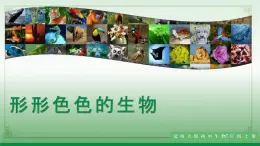 1.1.1形形色色的生物（課件+教案）北師大版 七上