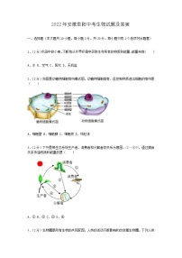 2022年安徽阜陽中考真題生物試題及答案