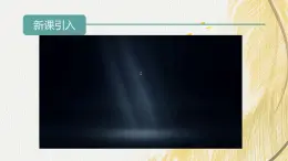 人教版 初中生物七年级上册2.1.2种子植物课件+视频