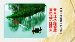 人教版 初中生物七年级上册2.1.1藻类、苔藓和蕨类课件+视频