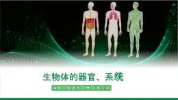 2.3.3生物體的器官、系統(tǒng)（課件+教案）北師大版 七上