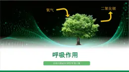 3.4.2呼吸作用（課件+教案）北師大版 七上
