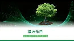 3.4.3吸收作用（課件+教案）北師大版 七上 - 副本