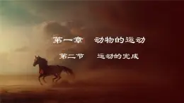 4.1.2  运动的完成（课件）-2024-2025学年八年级冀少版生物上册