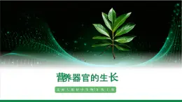 3.5.2營(yíng)養(yǎng)器官的生長(zhǎng)（課件+教案）北師大版 七上
