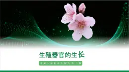 3.5.3生殖器官的生長(zhǎng)（課件+教案）北師大版 七上