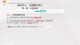 魯教版(五四制)初中生物七年級(jí)上冊(cè) 第1章 人的由來(lái)復(fù)習(xí)  課件