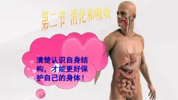 魯教版(五四制)初中生物七年級(jí)上冊(cè) 第2章 第2節(jié) 消化和吸收 課件